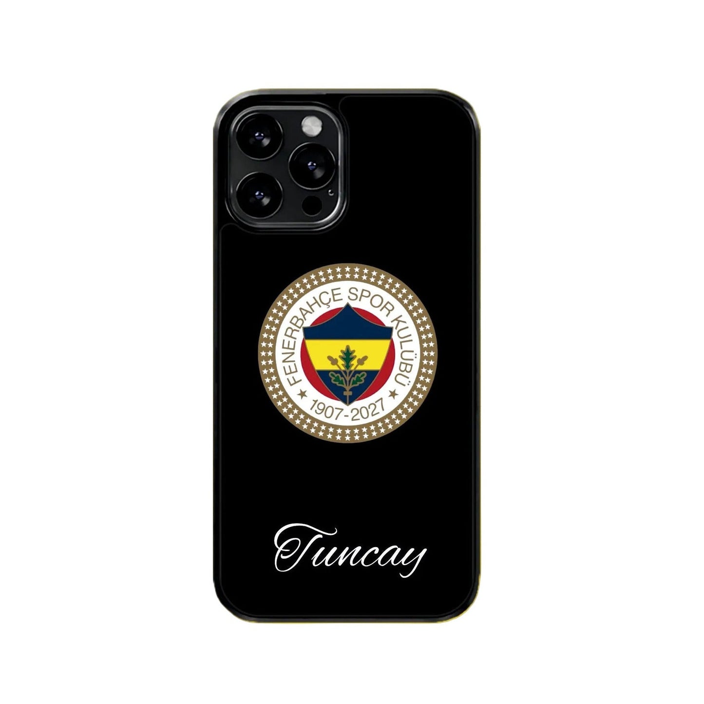 Fenerbahce 120 YIL